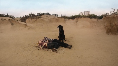 寒枝雀静剧照的剧照