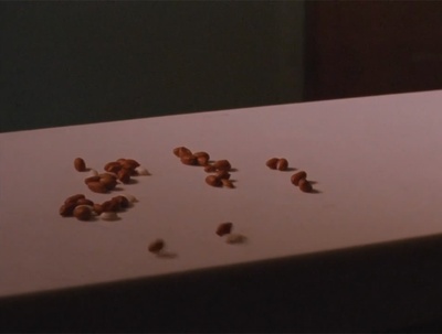 胶片时代爱情剧照的剧照