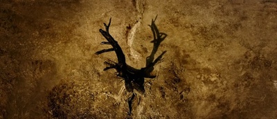 试验剧照的剧照