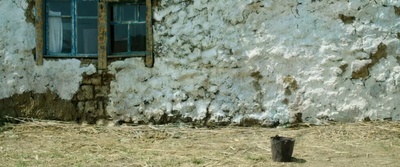 试验剧照的剧照