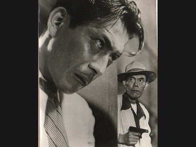 野良犬剧照的剧照