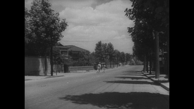 野良犬剧照的剧照