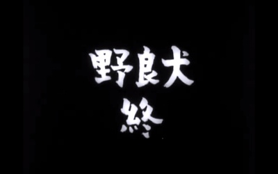 野良犬剧照的剧照