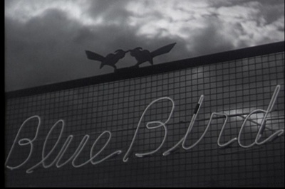 野良犬剧照的剧照