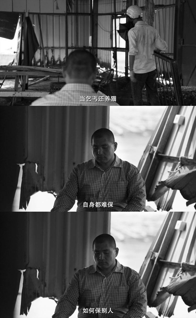 大佛普拉斯剧照的剧照