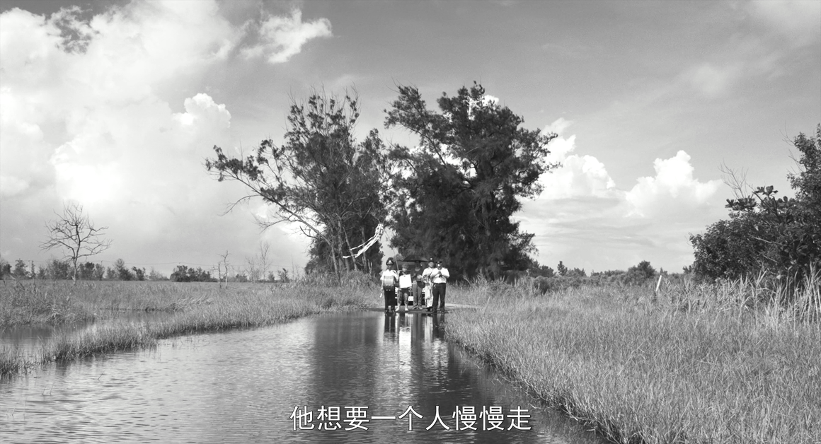 大佛普拉斯剧照的剧照