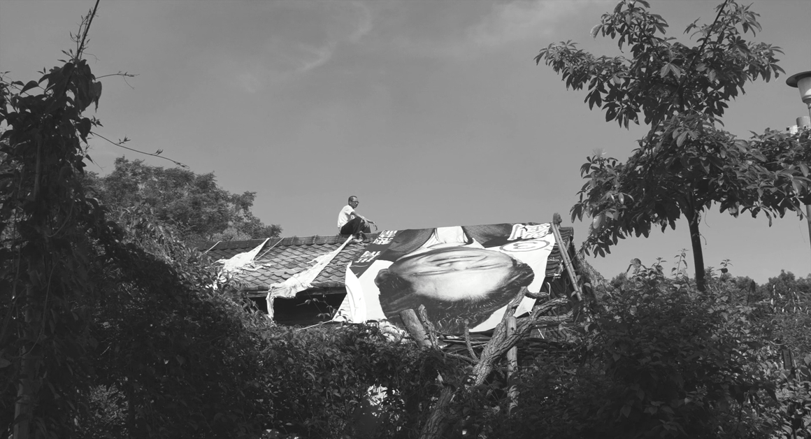 大佛普拉斯剧照的剧照