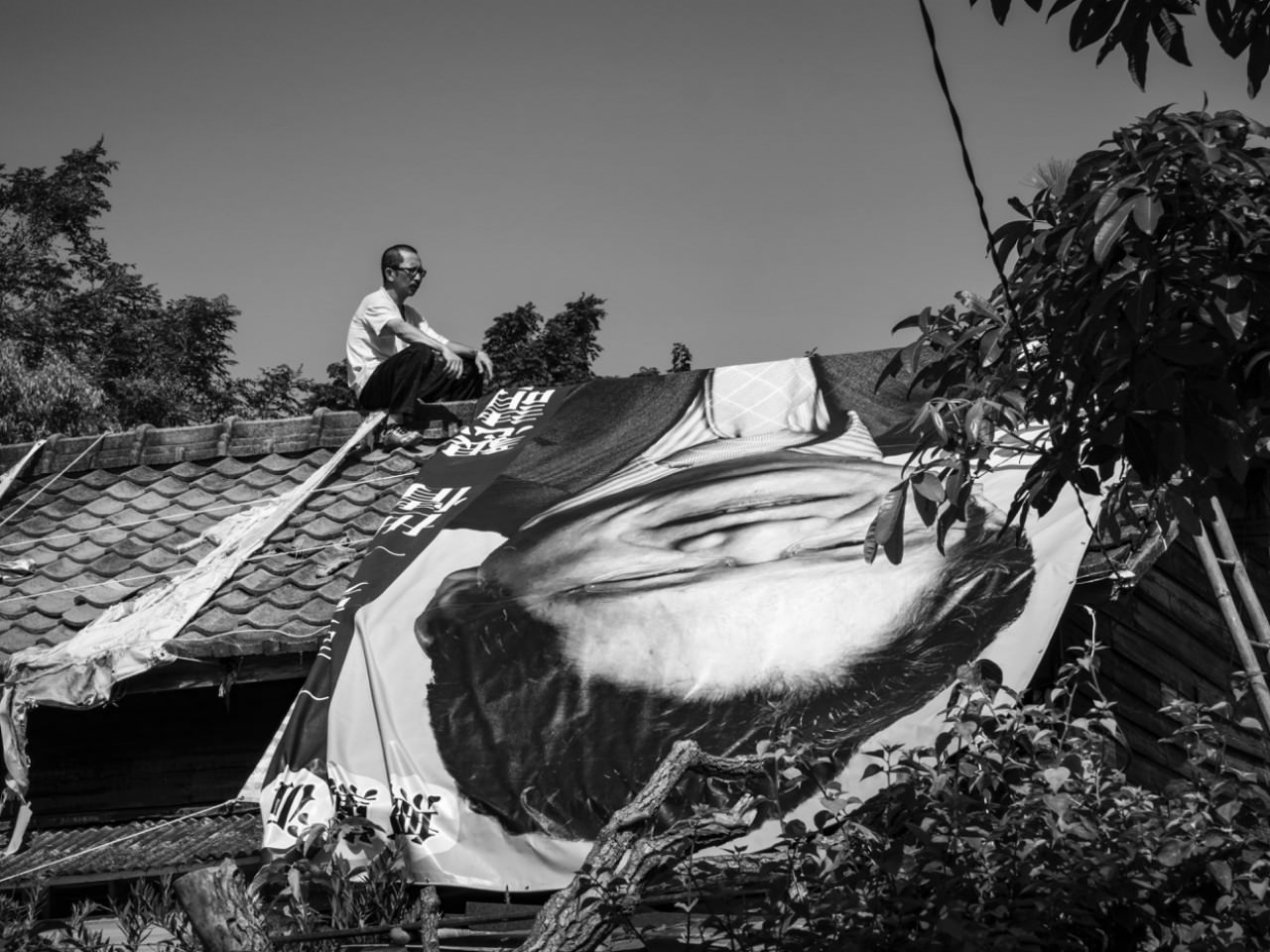 大佛普拉斯剧照的剧照