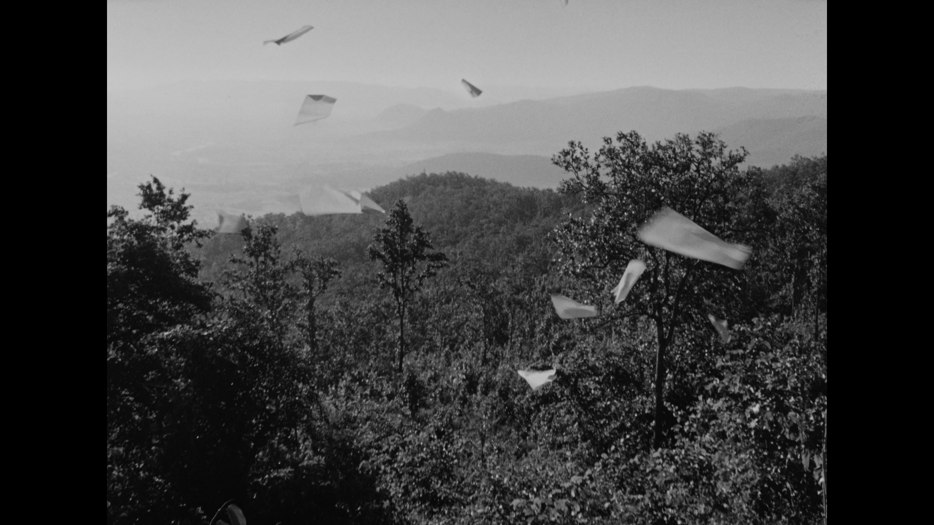 大树之歌剧照的剧照