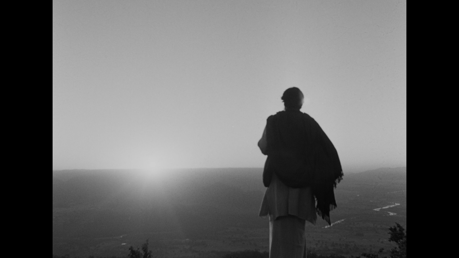 大树之歌剧照的剧照