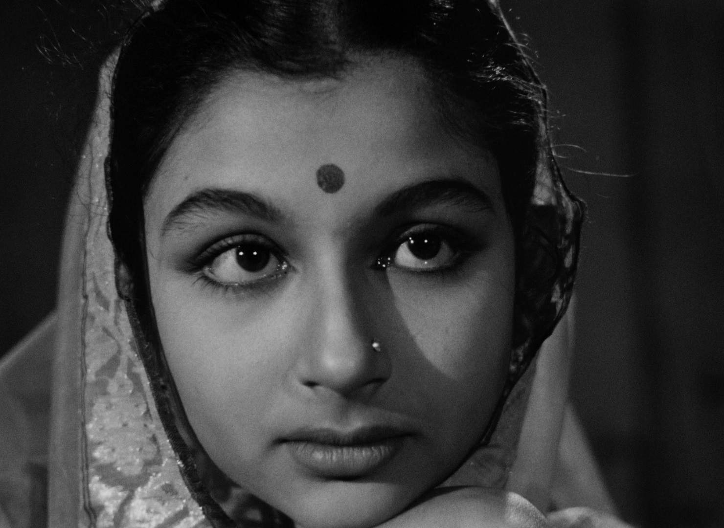 大树之歌剧照的剧照