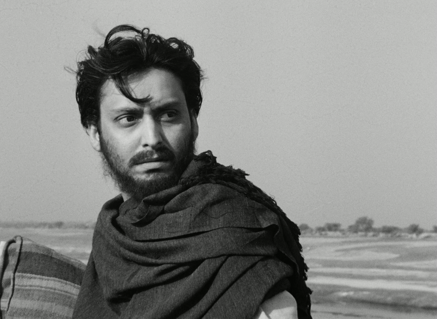 大树之歌剧照的剧照