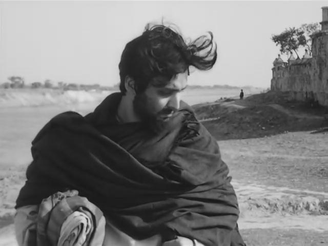 大树之歌剧照的剧照