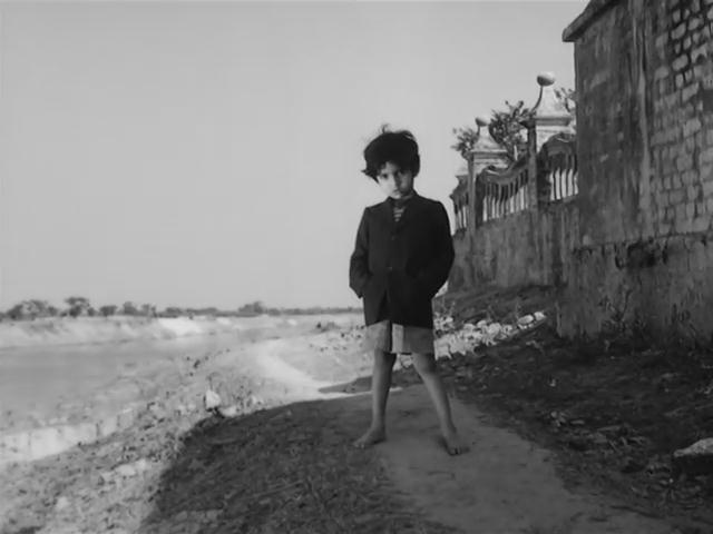 大树之歌剧照的剧照