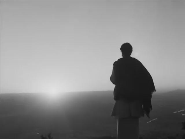 大树之歌剧照的剧照