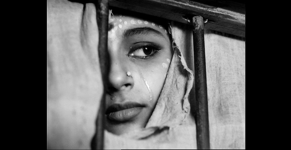 大树之歌剧照的剧照