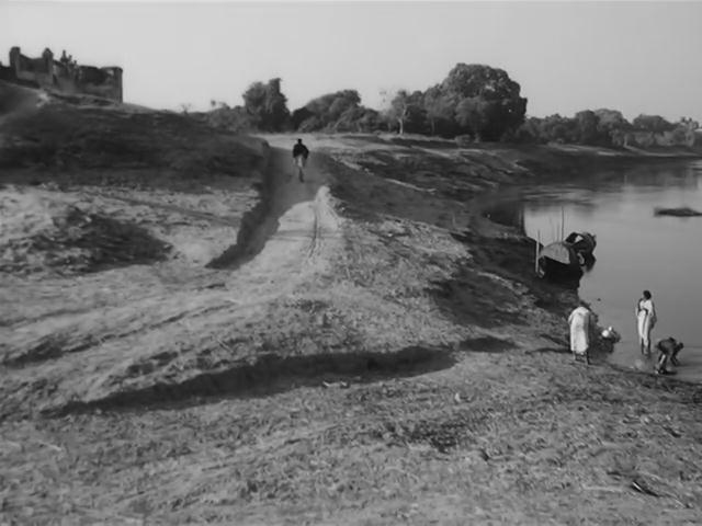 大树之歌剧照的剧照