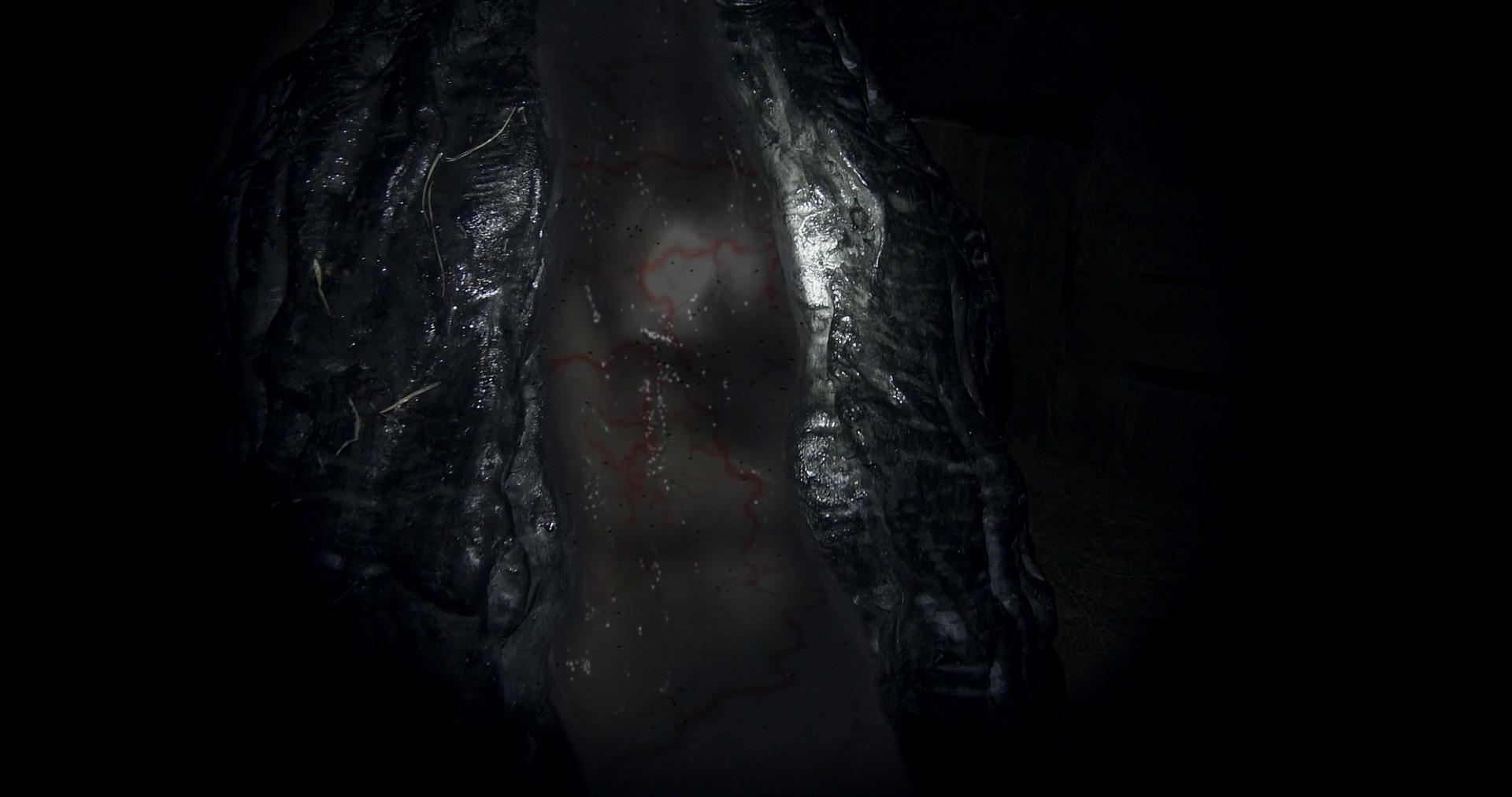 惊天复制剧照的剧照