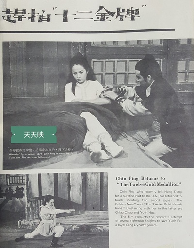 十二金牌剧照的剧照