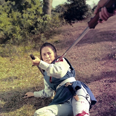 十二金牌剧照的剧照