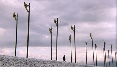 鹳鸟踟蹰剧照的剧照