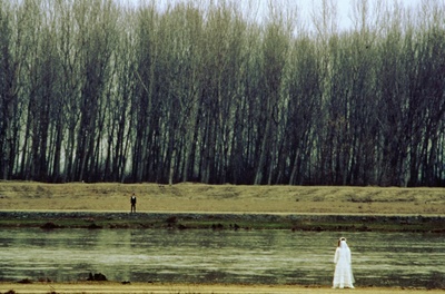 鹳鸟踟蹰剧照的剧照