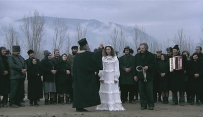 鹳鸟踟蹰剧照的剧照