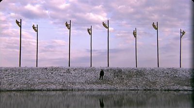 鹳鸟踟蹰剧照的剧照