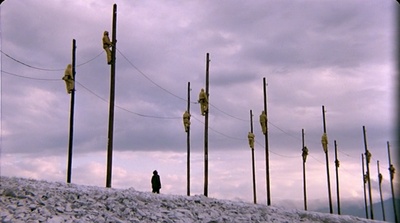 鹳鸟踟蹰剧照的剧照