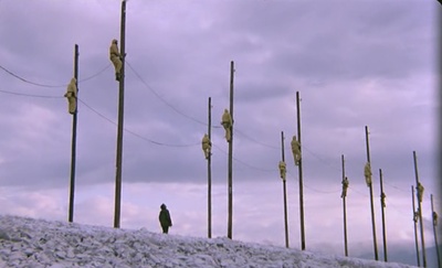 鹳鸟踟蹰剧照的剧照