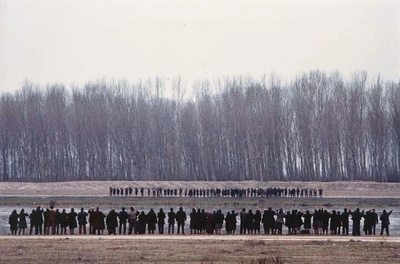 鹳鸟踟蹰剧照的剧照