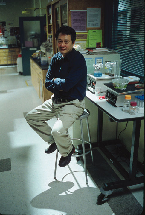 绿巨人浩克剧照的剧照