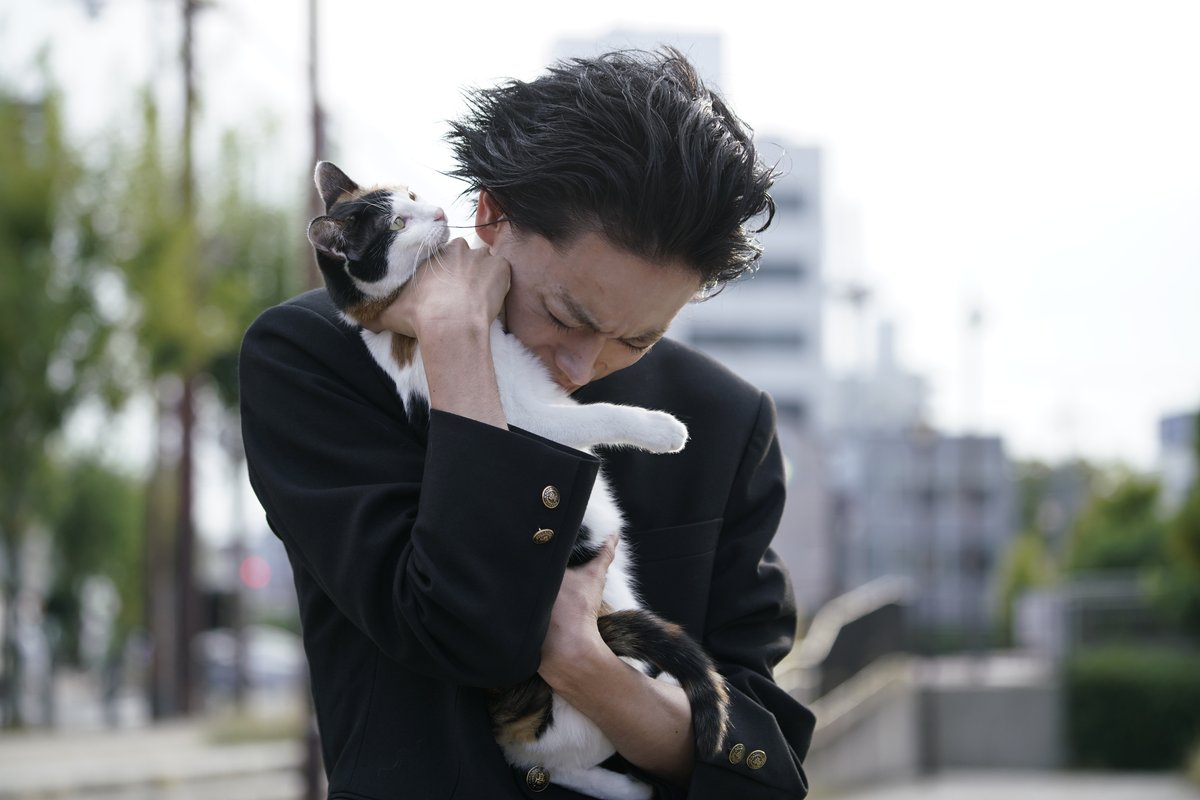 濑户内海剧照的剧照