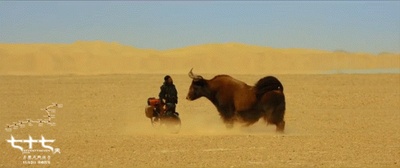 七十七天剧照的剧照