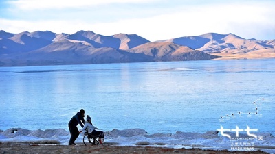 七十七天剧照的剧照