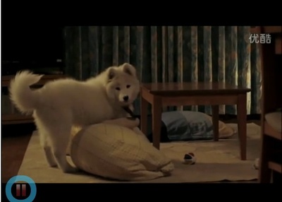 犬饲先生养狗记剧照的剧照