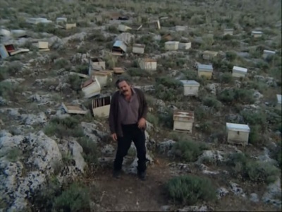 养蜂人剧照的剧照