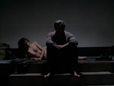 养蜂人剧照的剧照