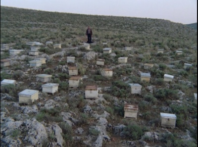 养蜂人剧照的剧照