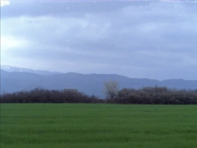 养蜂人剧照的剧照