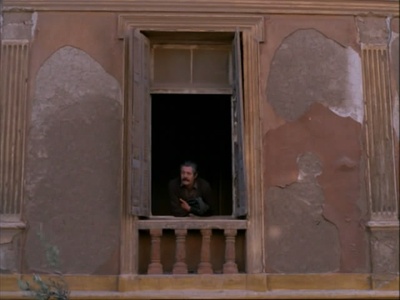 养蜂人剧照的剧照