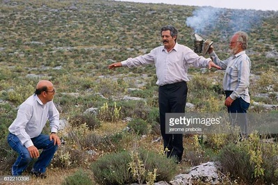 养蜂人剧照的剧照