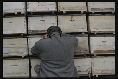 养蜂人剧照的剧照