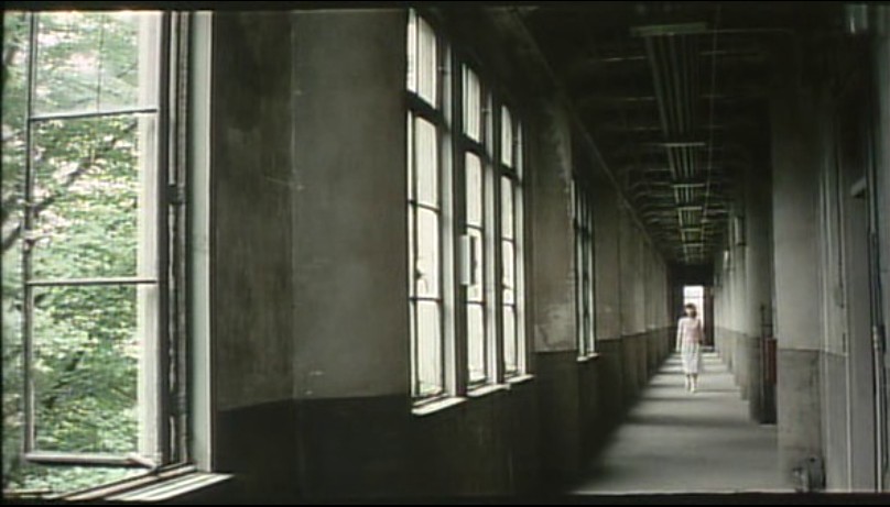 女郎漫游仙境剧照的剧照