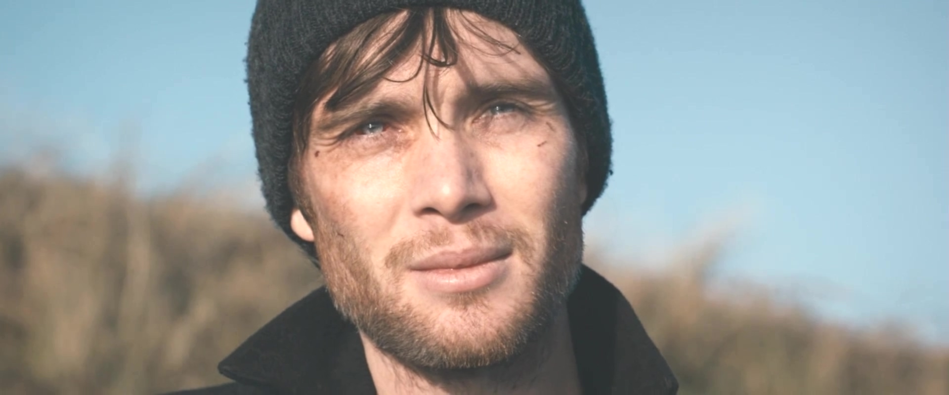 皮雷的慷慨剧照的剧照