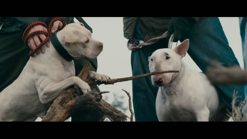 皮雷的慷慨剧照的剧照