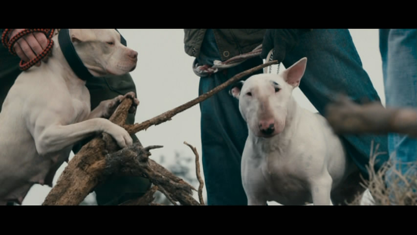 皮雷的慷慨剧照的剧照