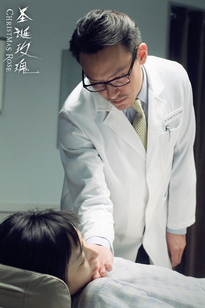 圣诞玫瑰剧照的剧照