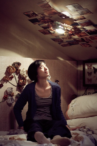 圣诞玫瑰剧照的剧照