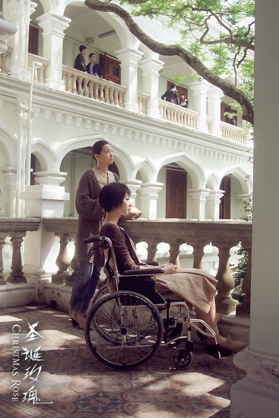 圣诞玫瑰剧照的剧照